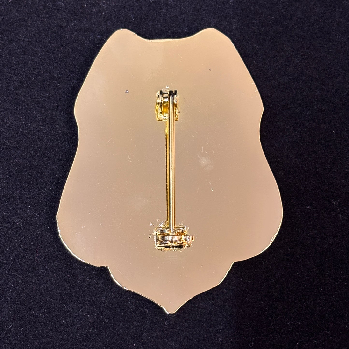 US Investigator Treasury Department Badge Customizable Number